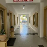 Smalis Lakkion